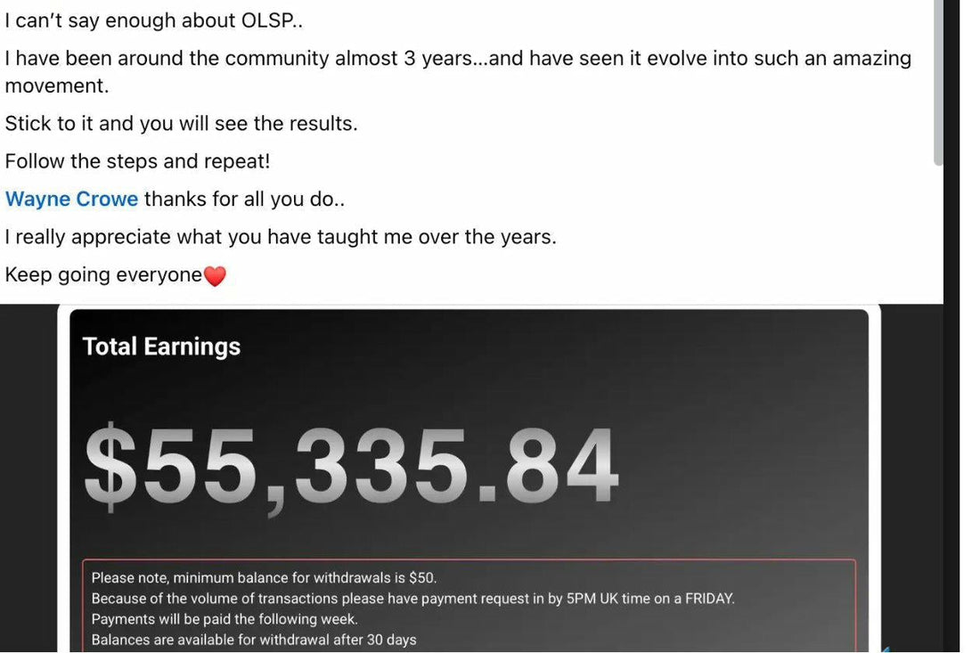 OLSP MegaLink Honest Review: Everything You Need to Know - Affiliate Success Vault