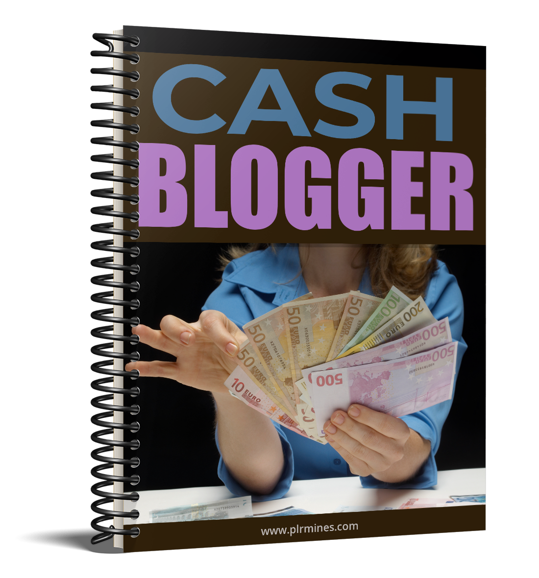 Cash blogger Affiliate Success Vault