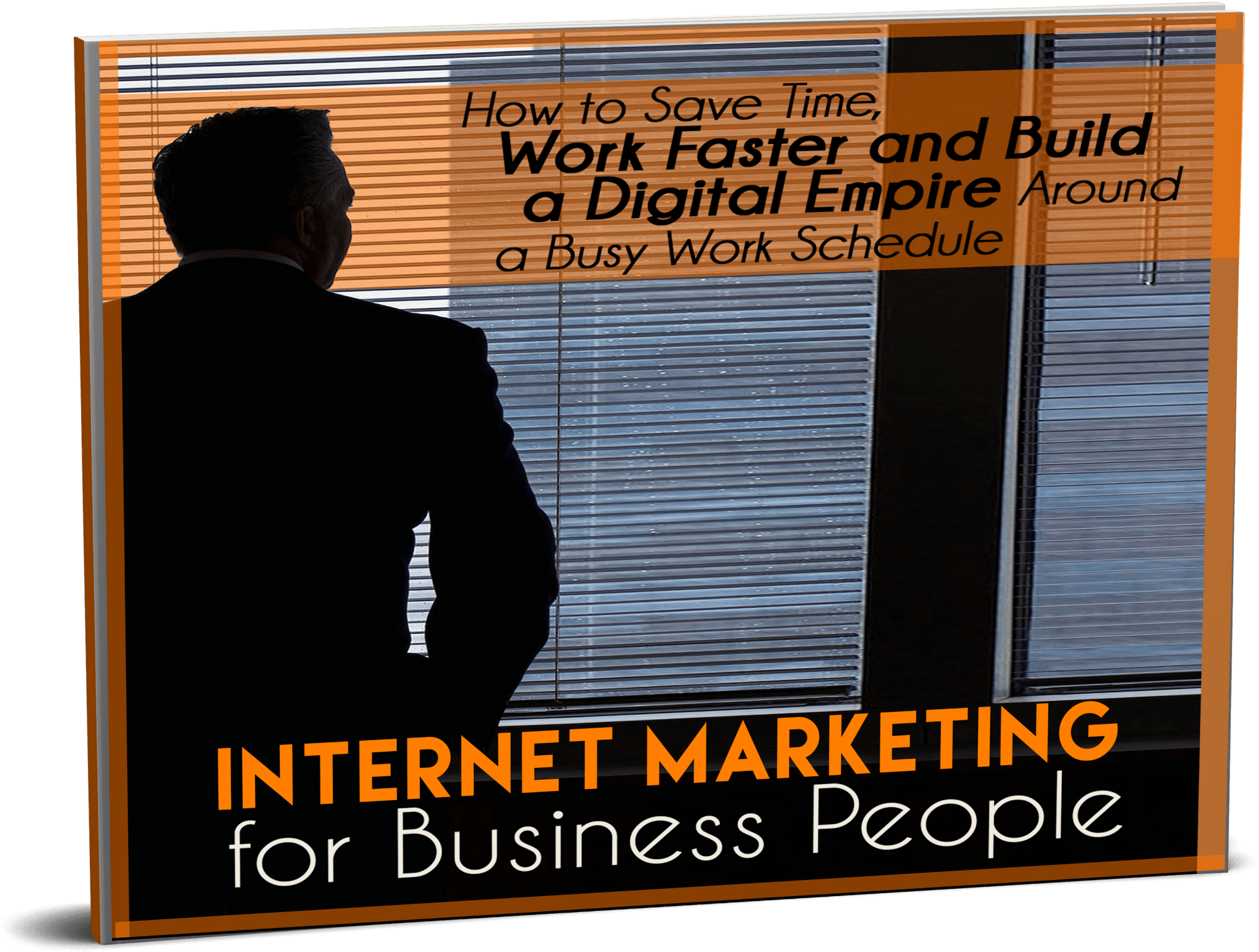 Internet Marketing for Business People: eBook, Audio & Video - Affiliate Success Vault